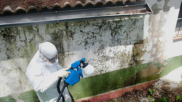 Top rated local Mold Remediation specialists in Unionville, NC